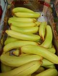 Banana grande artificiale in plastica H 19 cm dm. 3.5 - Sconti per Fioristi e Aziende e Wedding