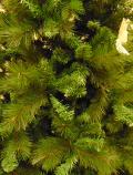 Albero di Natale H 210 Monterosa Lusso Sconti per Fioristi e Aziende