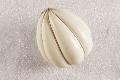 Provolone a forma tonda artificiale in plastica - Sconti per Fioristi e Aziende . - ø 27 cm