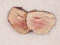 Roastbeef a fette artificiale x 2 pezzi in plastica Sconti per Fioristi, Wedding e Aziende