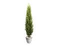 Thuja Verde Emerald H 150 - Sconti per Fioristi e Aziende  Artificiale in vaso