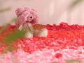 Petali di rosa x 100 artificiali in poliestere - Sconti per Fioristi e Aziende