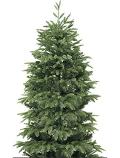 Albero Terminio abete verde - Sconti per Fioristi e Aziende  - H 150/180/210/240 in PE+PVC