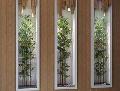 Canna Bamboo NaturaleH 210 x 482 foglie artificiali - Sconti per Fioristi e Aziende