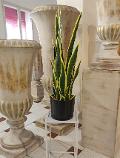 Sanseveria Trifasciata H 70 - Sconti per Fioristi e Aziende - Artificiale con vaso