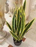 Sanseveria Trifasciata H 90  - Sconti per Fioristi e Aziende - Artificiale x 29 foglie in vaso