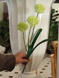 Allium x 3 H 49 in poliestere - Sconti per fioristi e aziende