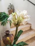 Amaryllis artificiale H 65 in vaso   - Sconto per Fioristi e Aziende