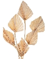Palm Spear H 55 Naturale - Sconti per Fioristi e Aziende - Confezione da 10 foglie