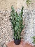 Sanseveria Laurentii H 90  - Sconti per Fioristi e Aziende - Artificiale con vaso