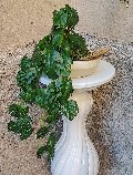 Kokedama Filodendro H 48 - Sconto per Fioristi e Aziende . - In Poliester dm. 28