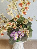 Kokedama Dancing Orchid - Sconto per Fioristi e Aziende - Beige H 60 dm. 50