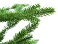 Albero di Natale c/o Base -  Sconti per Fioristi e Aziende -  H 120