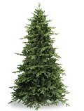 Albero Real abete verde  - Sconti per Fioristi e Aziende - H 183/213/244 in PE+PVC