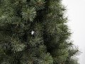 Albero Natale di Pino verde  Sconti per Fioristi e Aziende - H 183/213/244/274