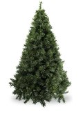 Albero Natale di Pino verde  Sconti per Fioristi e Aziende - H 183/213/244/274