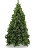 Albero Everest Pino verde - Sconti per Fioristi e Aziende - H 183/244