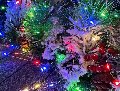 Filo 300 Luci Led da mt.10 - Sconti per Fioristi e Aziende - Rocchetto Multicolor