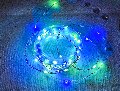 Filo 300 Luci Led da mt.10 - Sconti per Fioristi e Aziende - Rocchetto Multicolor
