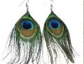 Piume di Pavone H 110 cm.  - Sconti per Fioristi e Aziende - Conf. 10 piume