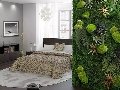 Giardini Vegetali Preservatii - Sconti per Fioristi e Aziende . - Adatto per Interno