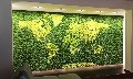 Parete Moss Stabilizzata - Sconti per Fioristi e Aziende  - Wall Moss a metro quadrato
