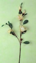 Magnolia Sulungiana H 100  in poliester - Sconti per Fioristi e Aziende