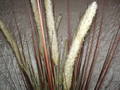 Tipha Grass x 8 Artificiale in poliestere - Sconti per Fioristi e Aziende