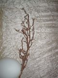 Willow Twig contorto cm. 90  - Sconti per Fioristi e Aziende  - in plastica animata