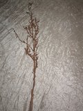 Willow Twig contorto cm. 90  - Sconti per Fioristi e Aziende - in plastica animata