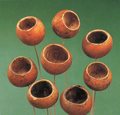 Mini Bell Cups Kurchi Ftuit  - Sconti per Fioristi e Aziende - gr.250
