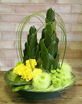Sisal Naturale Colorato - IN PROMOZIONE - Busta gr. 200 + 100 omaggio