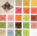 Foglie Scheletrite a cuore x 100 naturali colorate - Sconti per Fioristi e Aziende