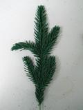 Rametto Abete Floccato  lungo cm.30 color verde - Sconti per Fioristi e Aziende