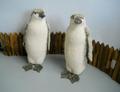 Pinguini H 40 in pellicia - Sconti per Fioristi e Aziende