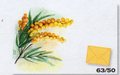 Bigliettini Stampa Mimosa x 50 con buste gialle - Sconti per Fioristi e Aziende