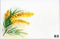 Bigliettini Stampa Mimosa x 50 con buste gialle - Sconti per Fioristi e Aziende
