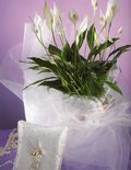 Tulle a rotolo H 25  x 100 metri da 35 danari