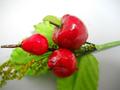 Pick Frutta x 3 con mele e pera cm. 12 lucide - Sconti per Fioristi e Aziende
