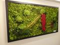 Quadro Vegetale Preservato Red Bridge  cm. 150 x 80 - Sconti per Fioristi e Aziende