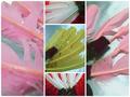 Piume colorate H 29 cofezione monocolore da 6 piume