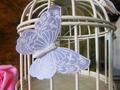 Farfalle x 12 Bianco confetto con clip - Sconti per Fioristi e Aziende