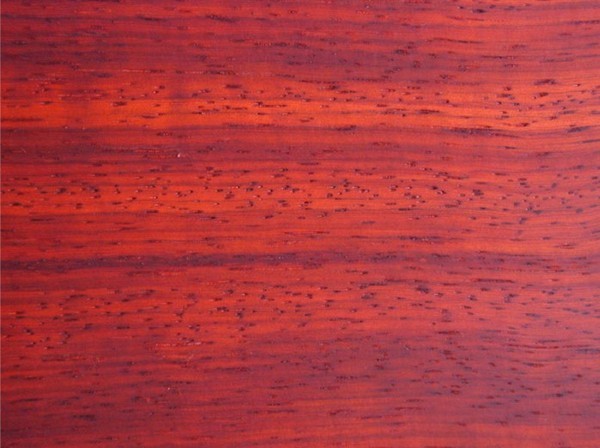 Legno Mogano Padouk