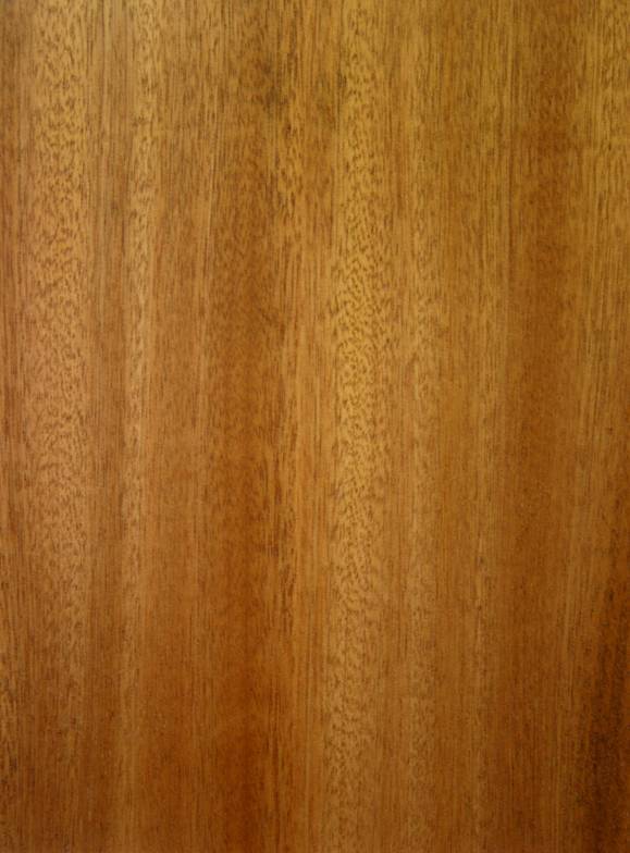 Legno Mogano Sipo