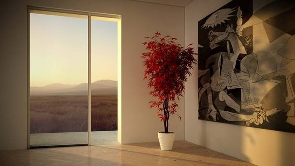 Zanzariera a Molla Laterale e Centrale Su Misura