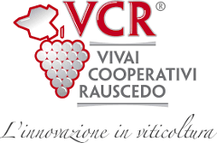 VCR Vivai Cooperativi Rauscedo