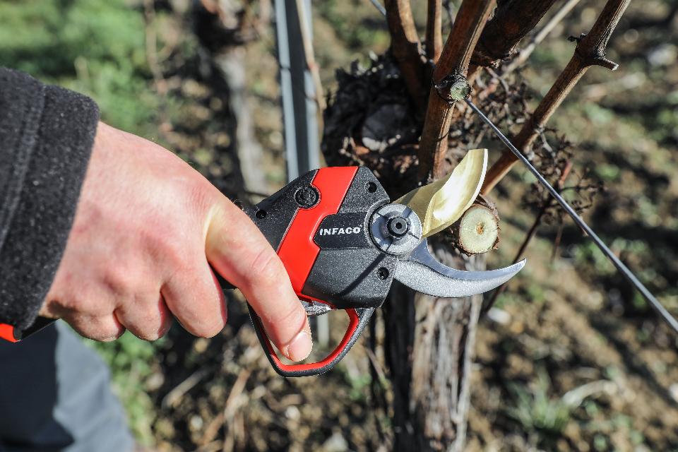 FORBICE ELETTRICA A BATTERIA PER POTATURA CON SENSORI - INFACO F3020
