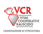 Rivendita Barbatelle innestate e selvatiche Vivai Cooperativi Rauscedo A radice nuda