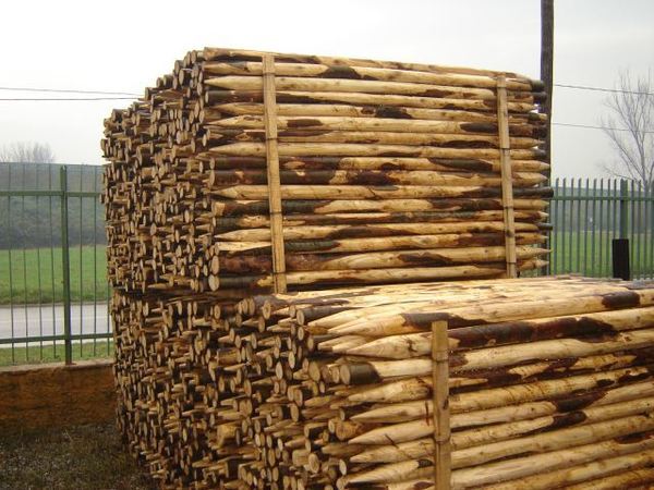 Paletti in legno per Vigneti Centro AMAR in Castagno ed in Pino