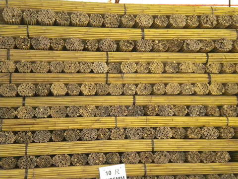 Canne di bambu Centro AMAR Uso Agricolo